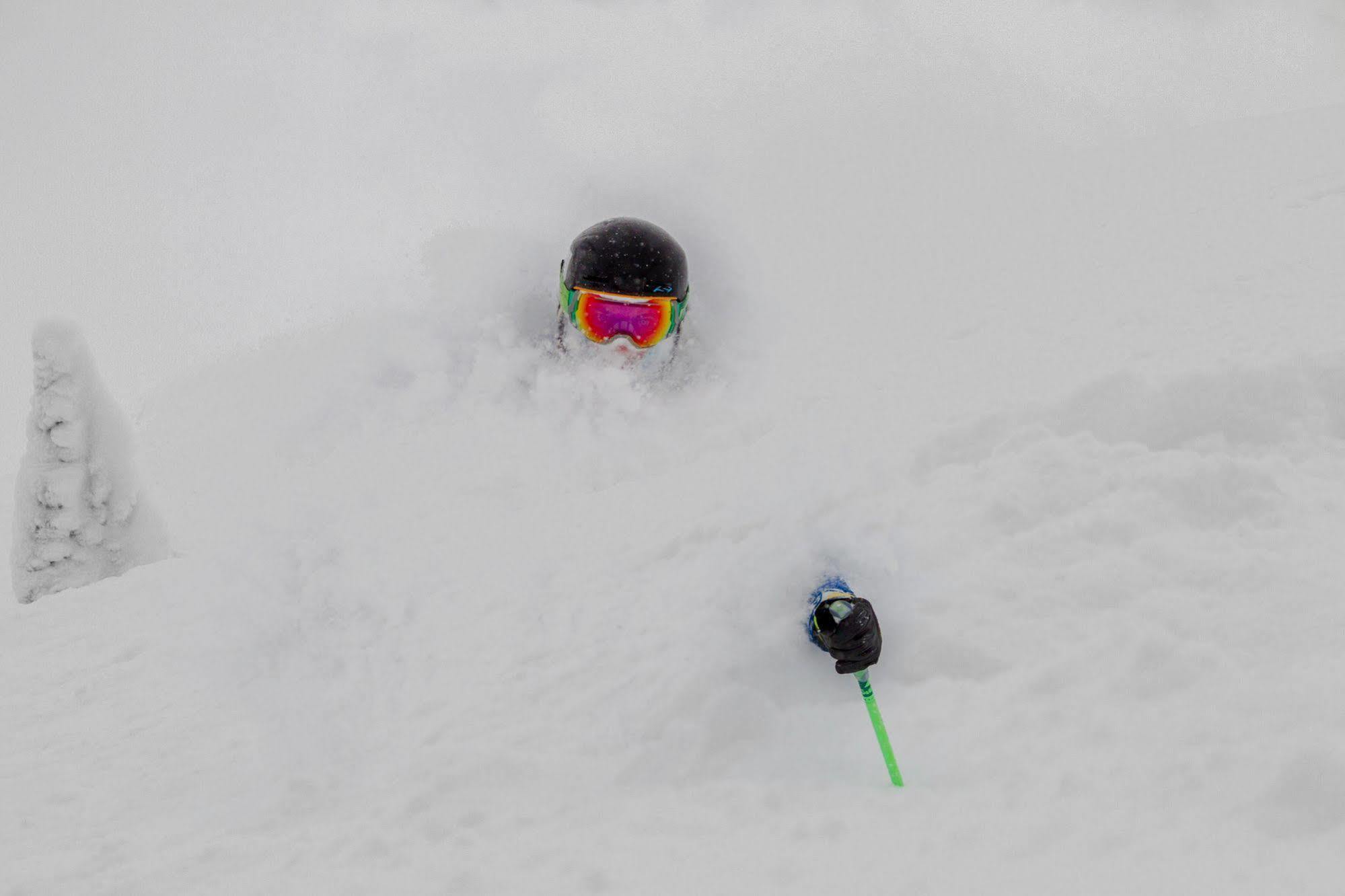 Teewinot Lodge By Grand Targhee Resort Alta ภายนอก รูปภาพ